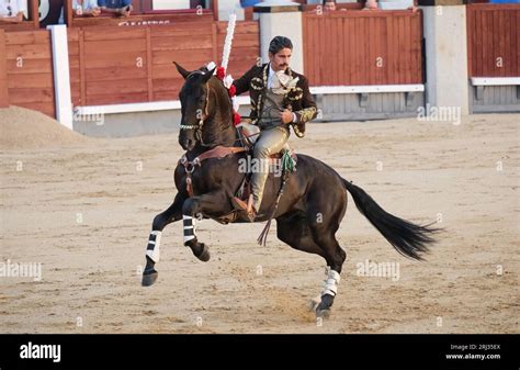 Le Rejoneador Emiliano Gamero Combat Le Taureau Lors D Une Corrida De