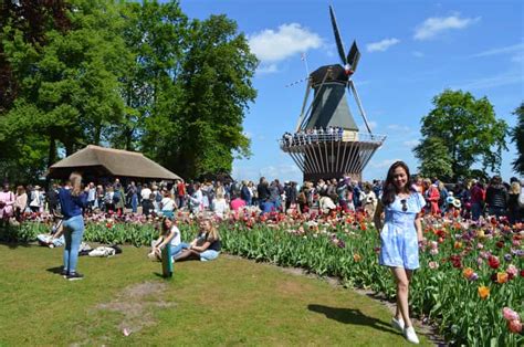 Da Amsterdam Tour Dei Tulipani Keukenhof E Tour Della Citt Di Delft