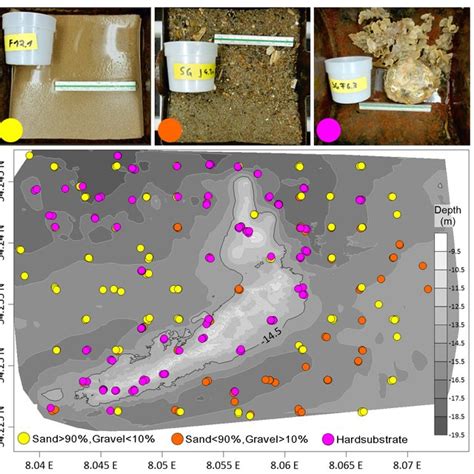 The three main sediment types and the sediment distribution map in ...