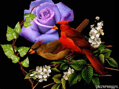 Roses And Birds Wallpaper Wallpapersafari