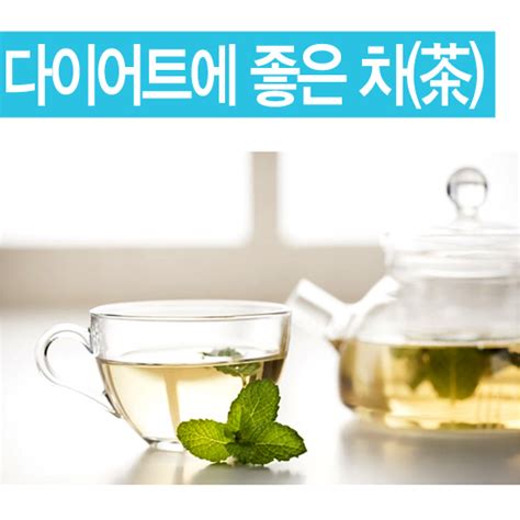 다이어트에 좋은 차茶tea 네이버 블로그