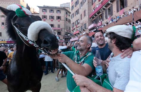 Siena il re del Palio è Zio Frac