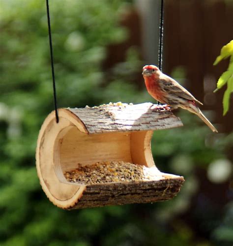 Window And Log Bird Houses And Feeders Forest Street Designs