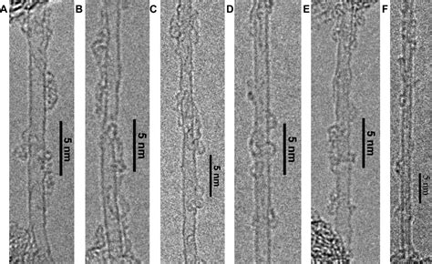 Single Handed Helical Wrapping Of Single Walled Carbon Nanotubes By