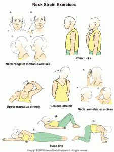 Neck Strain Exercises Osteopath Physiotherapy And Osteopathy In