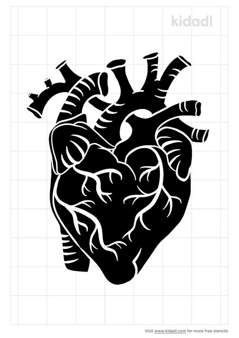 Anatomically Correct Heart Stencil