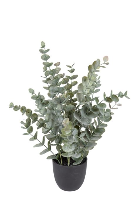 Kunstplant Eucalyptus 52cm Groen Eliassen Nl