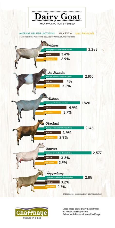 The Different Types Of Goats Are Shown In This Infographtion Chart