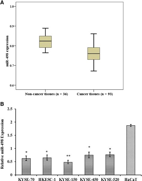 Expression Of Mir In Escc And Relationship Of Patient S Survival