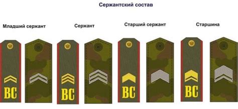 Погоны сержанта, сколько предусмотрено лычек для этого звания