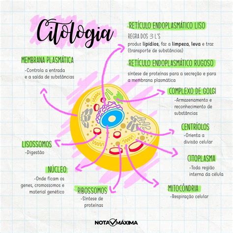 A Citologia é A área Da Biologia Responsável Pelo Estudo Da Célula A