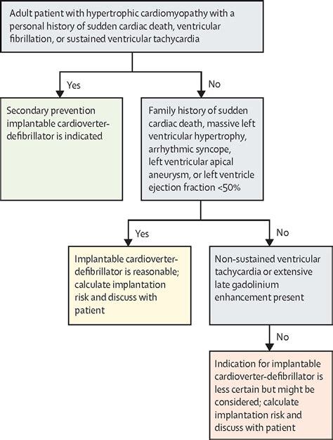 Hypertrophic Cardiomyopathy A Practical Approach To Guideline Directed