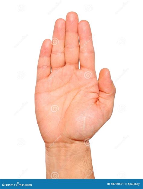 Hand Gesture Isolated On White Background Royalty Free Stock