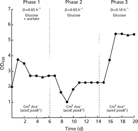 Figure 3 From Pyruvate Oxidase Contributes To The Aerobic Growth