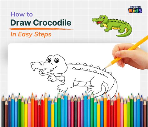 How To Draw A Crocodile Step To Step Guide