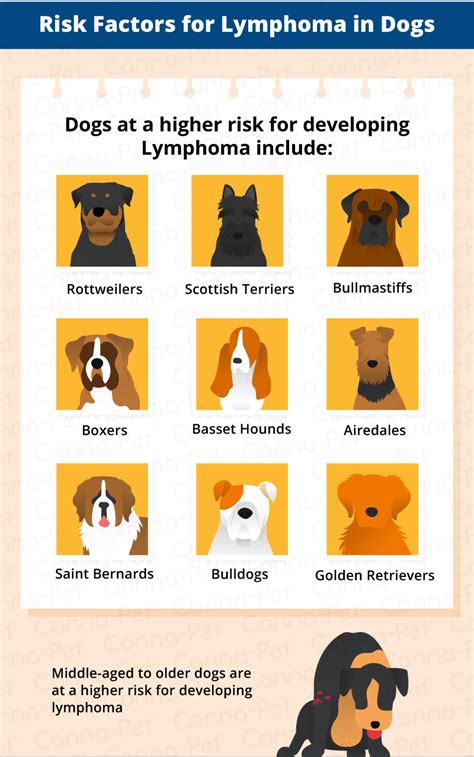 Lymphoma in Dogs | Canna-Pet