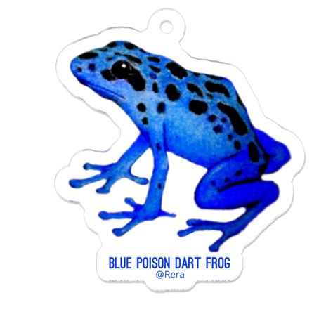 Blue Poison Dart Frog Rera Booth