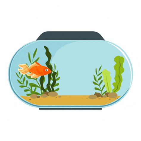 Happy Fish Tank By AquariumMe