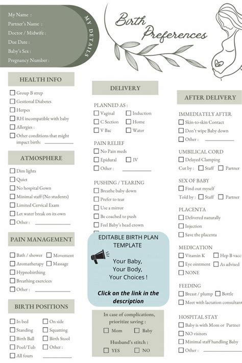 Birth Plan Template Birth Plan Template Editable Printable Birth Plan