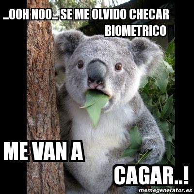 Meme Koala Ooh Noo Se Me Olvido Checar Biometrico Me Van A