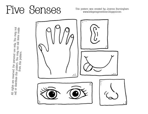 The Five Senses Coloring Pages Coloring Home