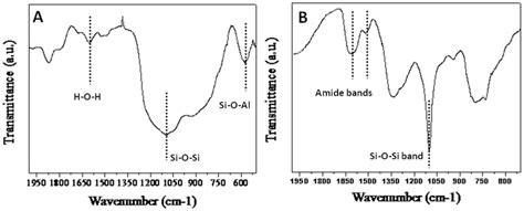 Fourier Transform Infrared Ftir Spectrum Of Fly Ash Powder A And