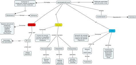 Mapa Conceptual De Macromol Culas