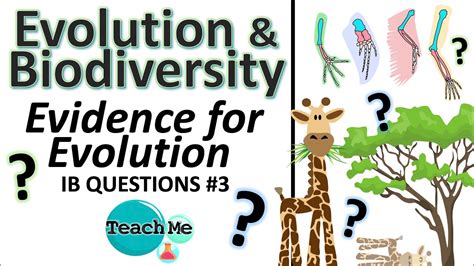 Ib Questions Evidence For Evolution Ib Biology