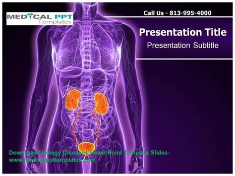 Urology Diseases Powerpoint Template Slides