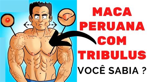 Voc Usa Ou J Usou Maca Peruana Tribulus Precisa Ver Isso