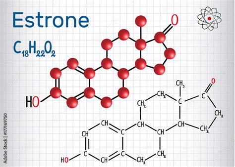 Estrone E1 Estrogen Minor Female Sex Hormone Structural Chemical Formula And Molecule