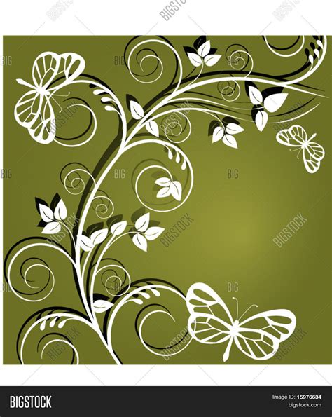 Vine Butterflies Vector And Photo Free Trial Bigstock