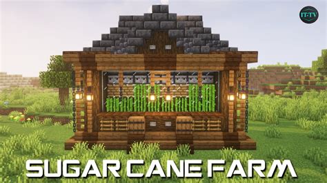 How To Make Sugar Cane Into Sugar Minecraft At Whitney Johnson Blog