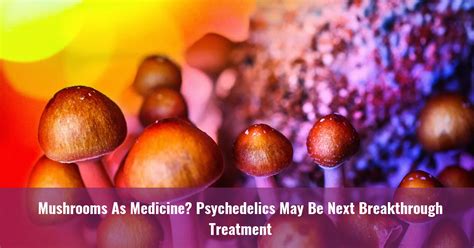 Mushrooms As Medicine Psychedelics May Be Next Breakthrough Treatment