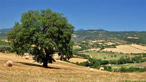 Maremma, Italy - 8 Reasons why you'll fall in love with the Maremma