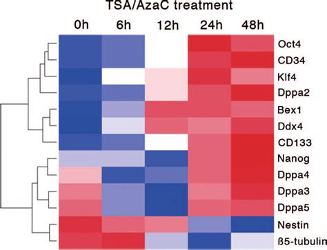 Hierarchical Clustering And Heatmap Representation Of Hematopoietic