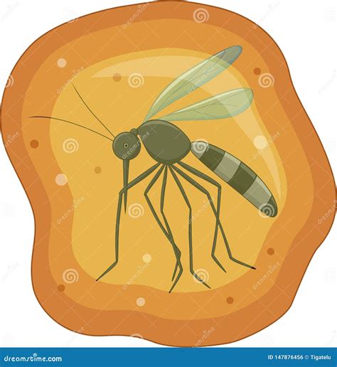 Mosquito in Yellow Amber Fossil Stock Vector - Illustration of animal, bijou: 147876456