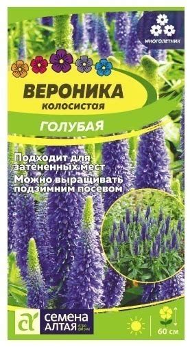 ВЕРОНИКА ГОЛУБАЯ КОЛОСИСТАЯ — Organic garden