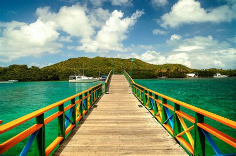 Rocky Cay Bay Aquarium Full Day Tours Prices Schedules