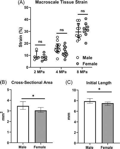 Cyclic Loading Induces Anabolic Gene Expression In Acls In A Load