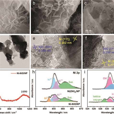 A Sem Image Of The Precursor Ni Oh Nf B Low Magnification Sem