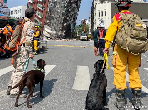 汪汪隊來了！8隻搜救犬集結花蓮救災 超強狗狗amei休假來支援 Ettoday寵物雲 Ettoday新聞雲