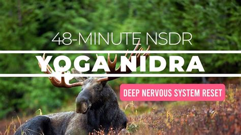 48 Minute Yoga Nidra For A Deep Nervous System Reset Nsdr Guided