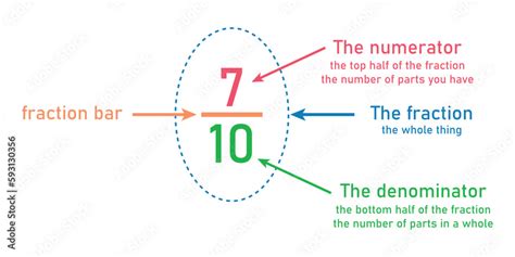 Parts of fraction number in mathematics. Numerator, denominator and ...