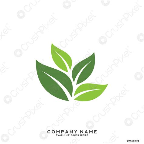 Eco Icon Green Leaf Vector Illustration Isolated Stock Vector