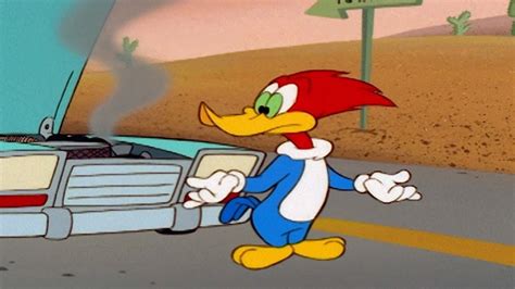 Woody Is Stuck In The Desert Woody Woodpecker YouTube