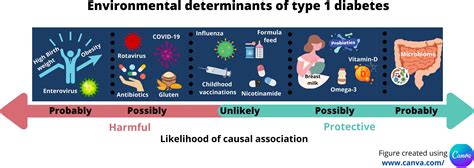 Frontiers Environmental Determinants Of Type Diabetes From