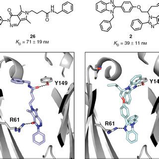 Comparison Between The Binding Mode Of Inhibitors And Left