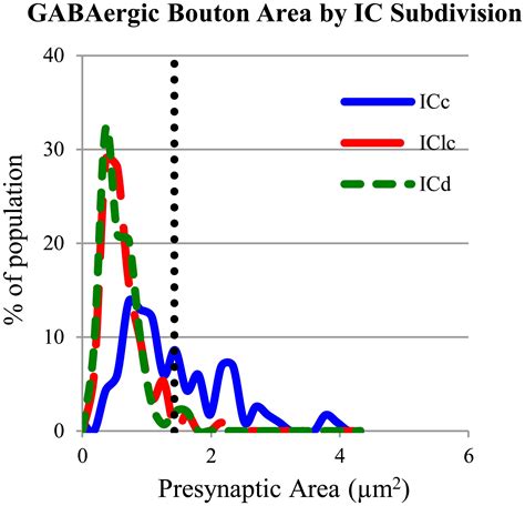 Frontiers Ultrastructural Characterization Of Gabaergic And