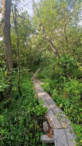 Best Lake Trails In Leekstermeergebied Alltrails